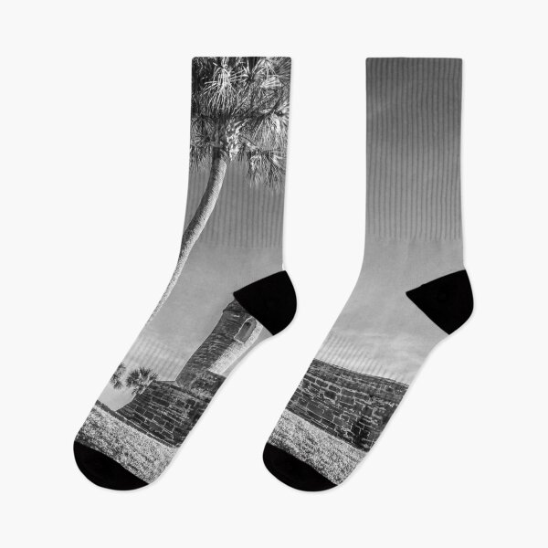 Item preview, Castillo De San Marcos St Augustine Florida X100 designed and sold by RichFrancoCars.