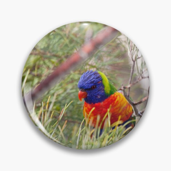Item preview, Rainbow Lorikeet designed and sold by margotk.