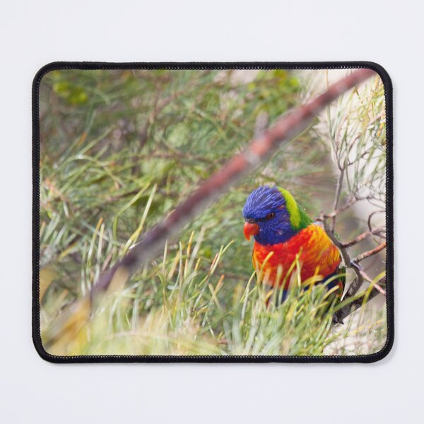 Item preview, Rainbow Lorikeet designed and sold by margotk.