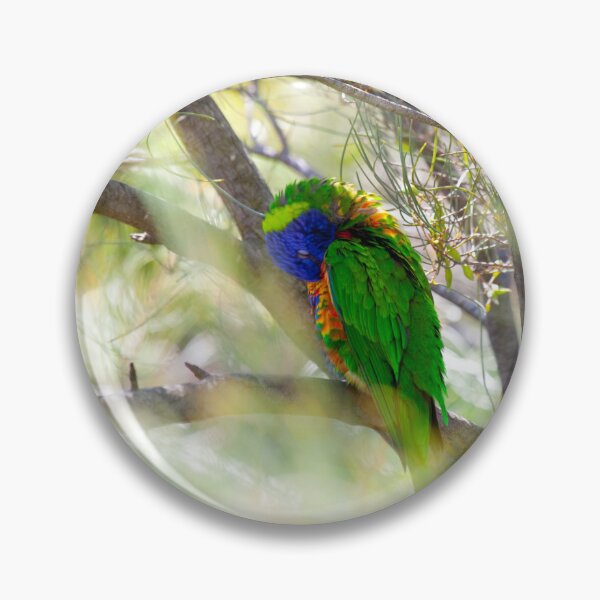 Item preview, Rainbow Lorikeet designed and sold by margotk.