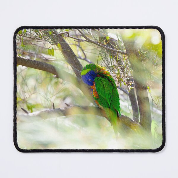 Item preview, Rainbow Lorikeet designed and sold by margotk.