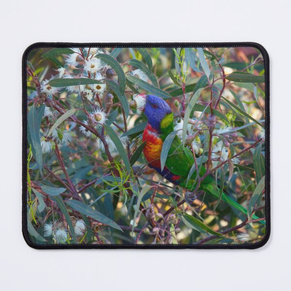 Item preview, Rainbow Lorikeet designed and sold by margotk.