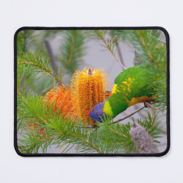 Item preview, Rainbow Lorikeet designed and sold by margotk.