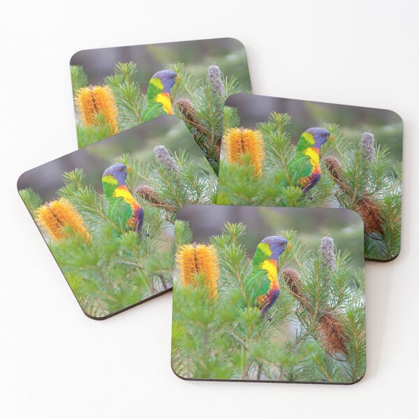 Item preview, Rainbow Lorikeet designed and sold by margotk.