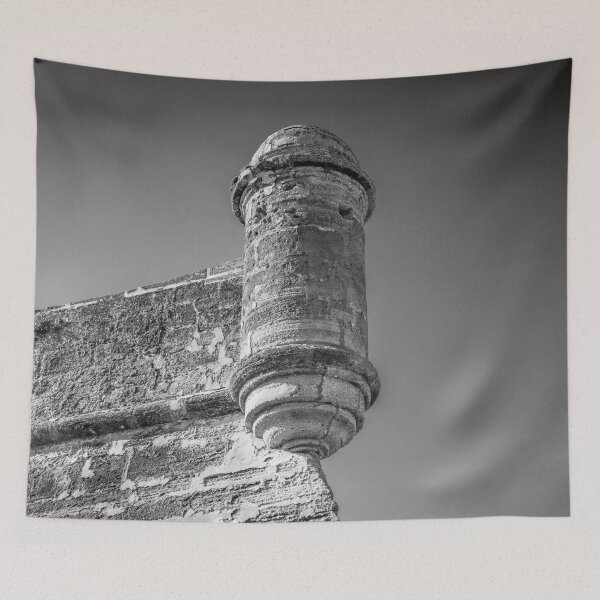 Item preview, Castillo De San Marcos St Augustine Florida X100 designed and sold by RichFrancoCars.