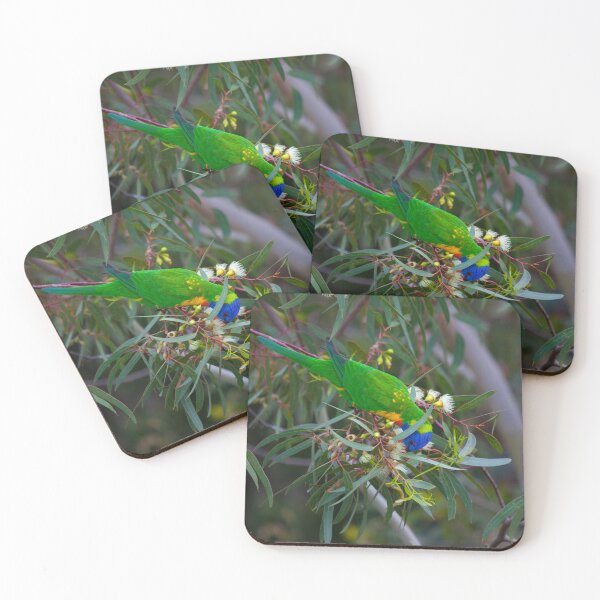 Item preview, Rainbow Lorikeet designed and sold by margotk.