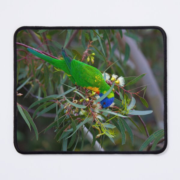 Item preview, Rainbow Lorikeet designed and sold by margotk.