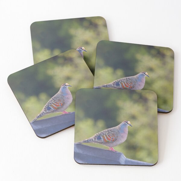 Item preview, Common Bronzewing designed and sold by margotk.