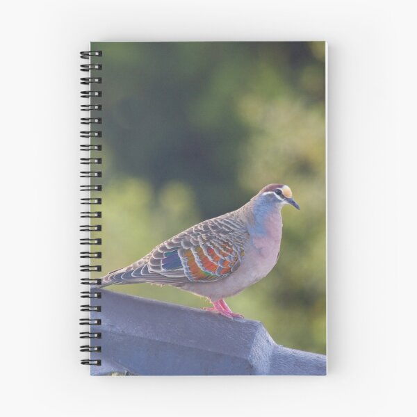 Item preview, Common Bronzewing designed and sold by margotk.