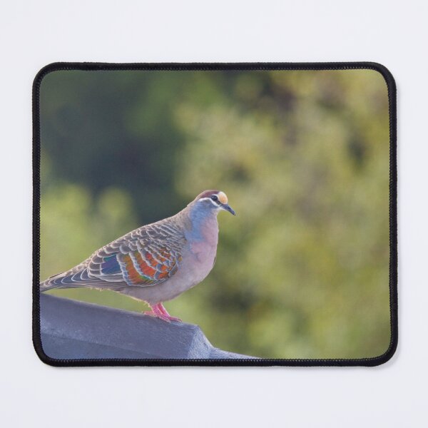 Item preview, Common Bronzewing designed and sold by margotk.