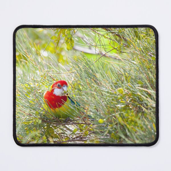 Item preview, Eastern Rosella designed and sold by margotk.