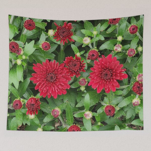 Item preview, Red Chrysanthemums on a Crisp Fall Day designed and sold by SXW Designs.