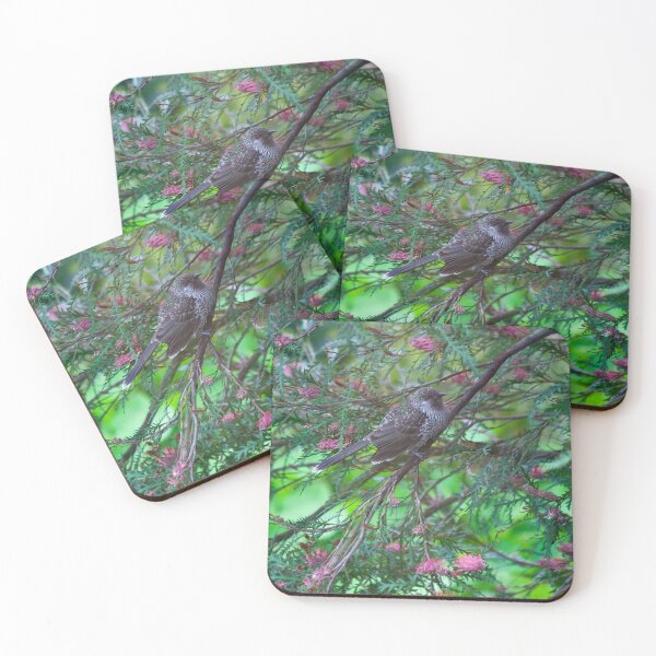 Item preview, Little Wattlebird designed and sold by margotk.
