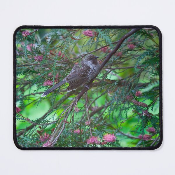 Item preview, Little Wattlebird designed and sold by margotk.