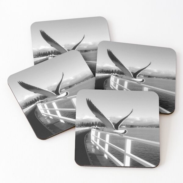 Item preview, Pacific Gull. (Victor Harbor, SA) designed and sold by FJMTHOMPSON49.
