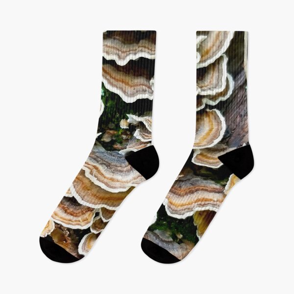 Item preview, Turkey Tail Mushrooms designed and sold by bjtomiko.