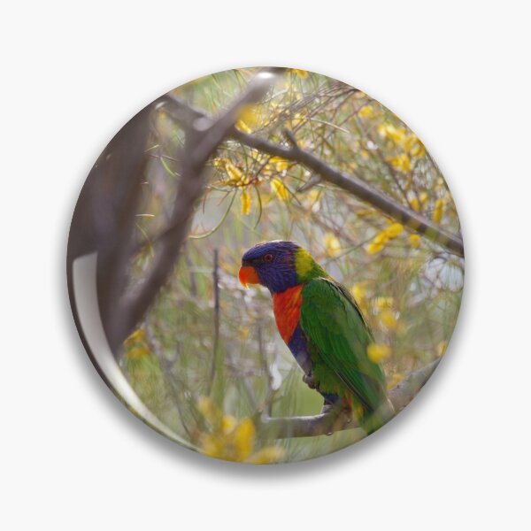 Item preview, Rainbow Lorikeet designed and sold by margotk.