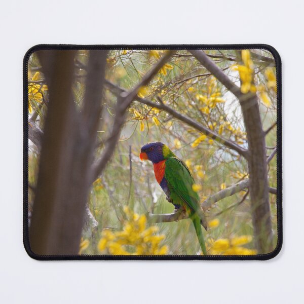 Item preview, Rainbow Lorikeet designed and sold by margotk.
