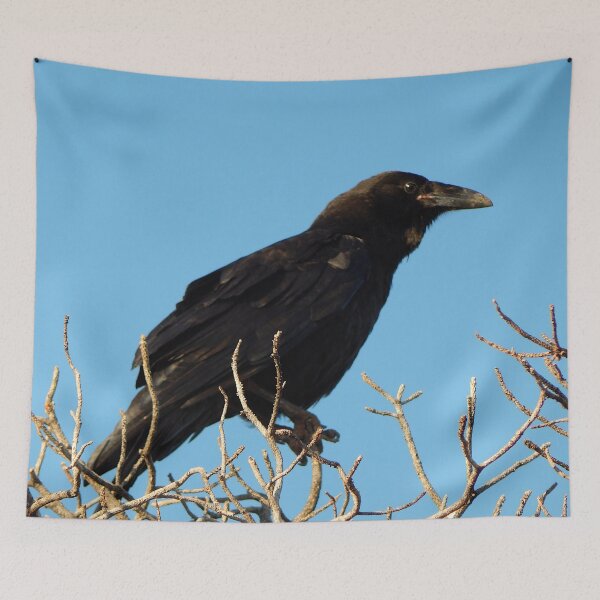 Item preview, Common Raven Desert View Point Grand Canyon designed and sold by gistinker.