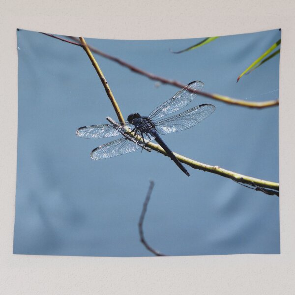 Item preview, Black dragonfly on twig from back left designed and sold by gistinker.