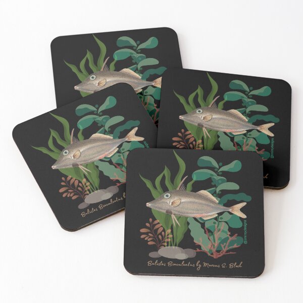 Item preview, Balistes Biaculeatus by Marcus E. Bloch  designed and sold by smirey designs.