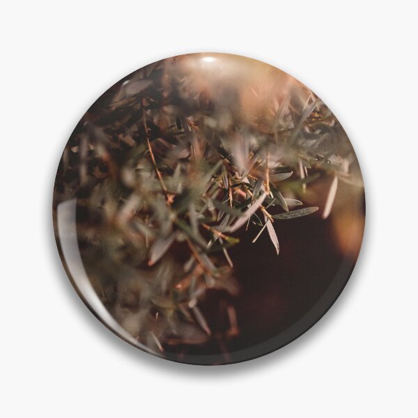 Item preview, /// Winter warmer /// Taken late afternoon in the winter garden  designed and sold by Est-Image-Co.