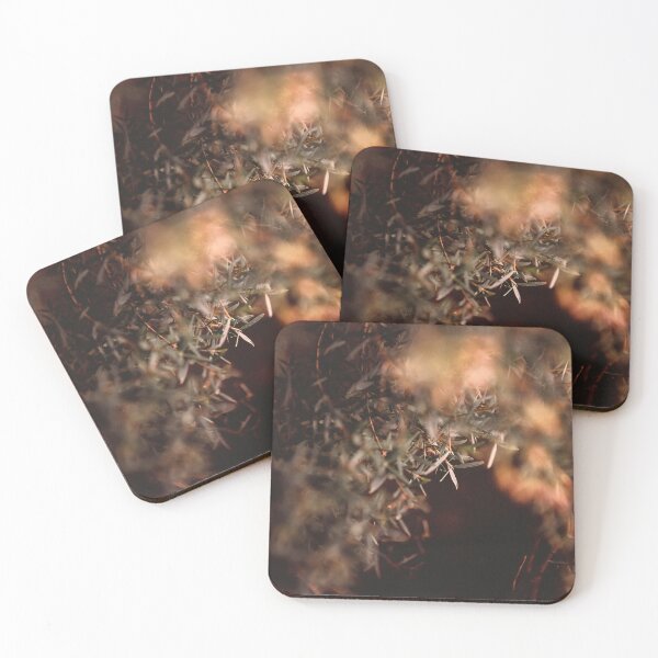 Item preview, /// Winter warmer /// Taken late afternoon in the winter garden  designed and sold by Est-Image-Co.