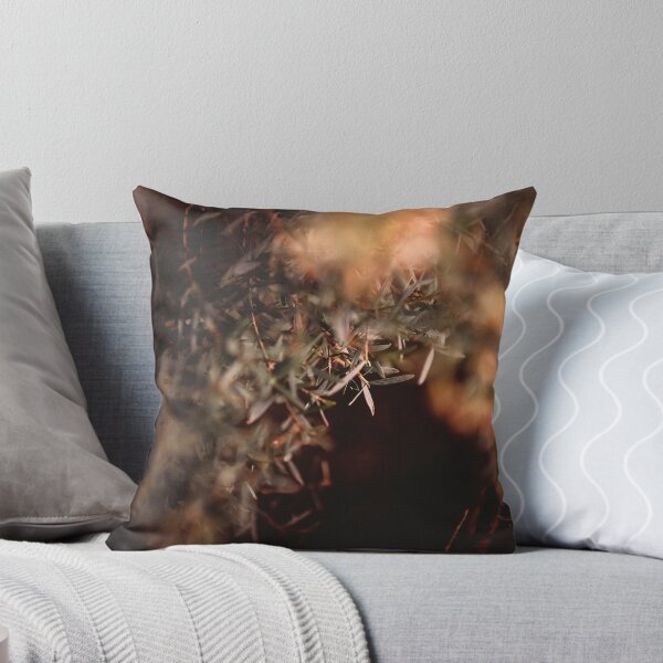 Item preview, /// Winter warmer /// Taken late afternoon in the winter garden  designed and sold by Est-Image-Co.