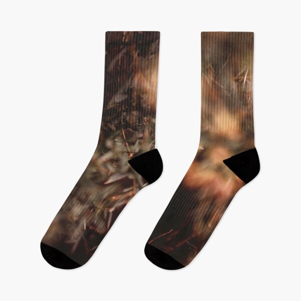 Item preview, /// Winter warmer /// Taken late afternoon in the winter garden  designed and sold by Est-Image-Co.