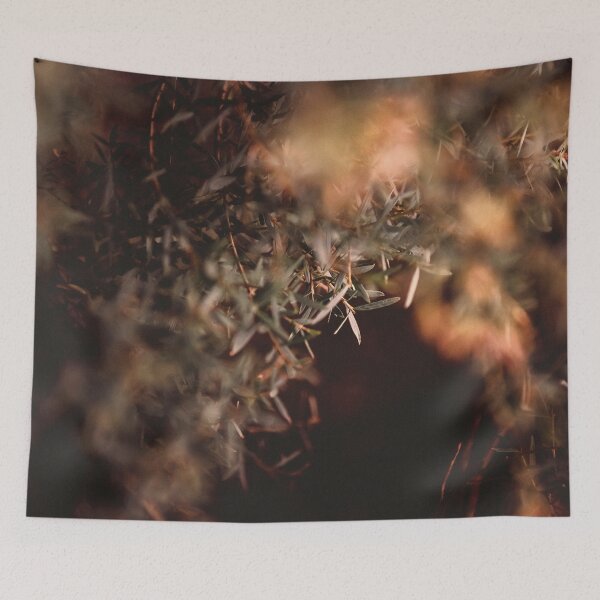 Item preview, /// Winter warmer /// Taken late afternoon in the winter garden  designed and sold by Est-Image-Co.