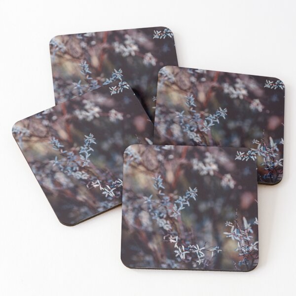 Item preview, /// Winter Garden 3 /// Taken mid morning after a frost NSW, Australia designed and sold by Est-Image-Co.