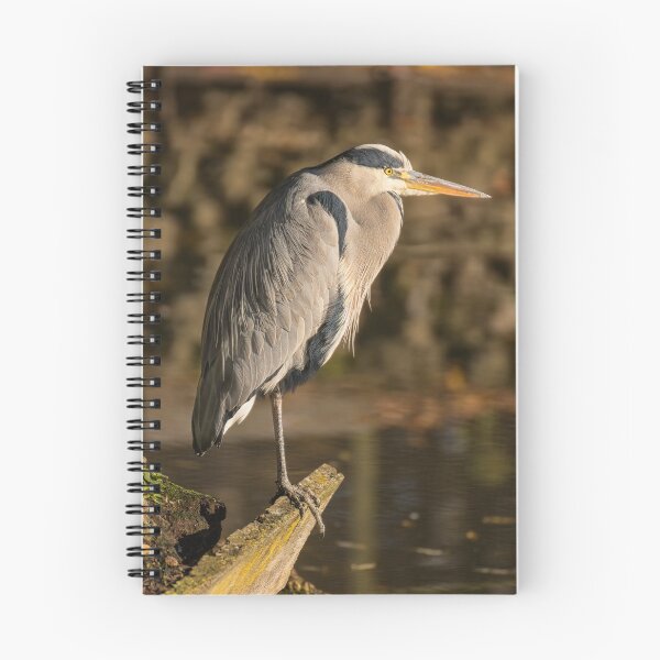 Item preview, The Piscator 2 designed and sold by lyttonimages.