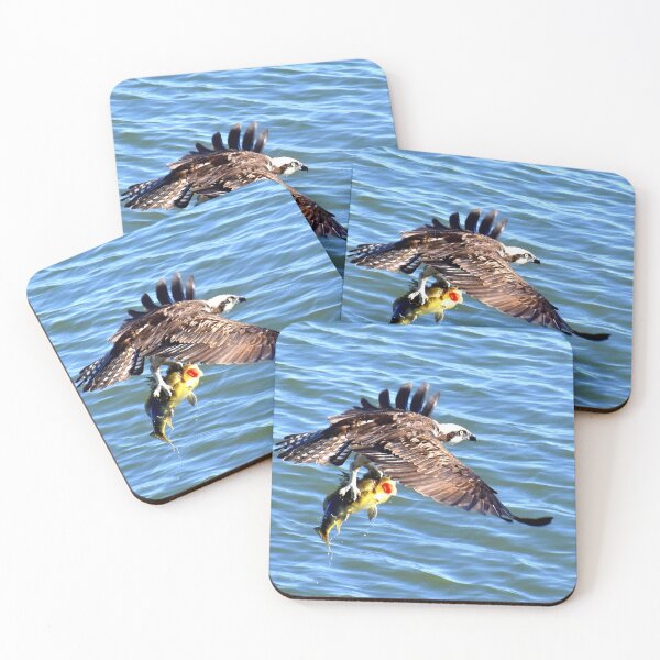 Item preview, Osprey With Fresh Fish For Dinner designed and sold by Eleu Tabares.
