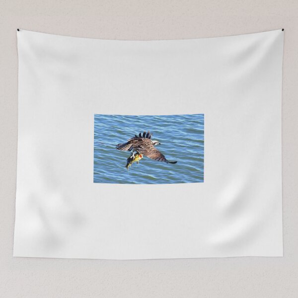 Item preview, Osprey With Fresh Fish For Dinner designed and sold by Eleu Tabares.