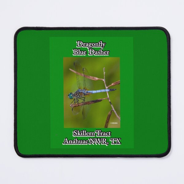 Item preview, For The Dragonfly Lover In You ~ Dragonfly: Blue Dasher, Anahuac NWR, Chambers County, Texas designed and sold by MoreEZUSA-Here.