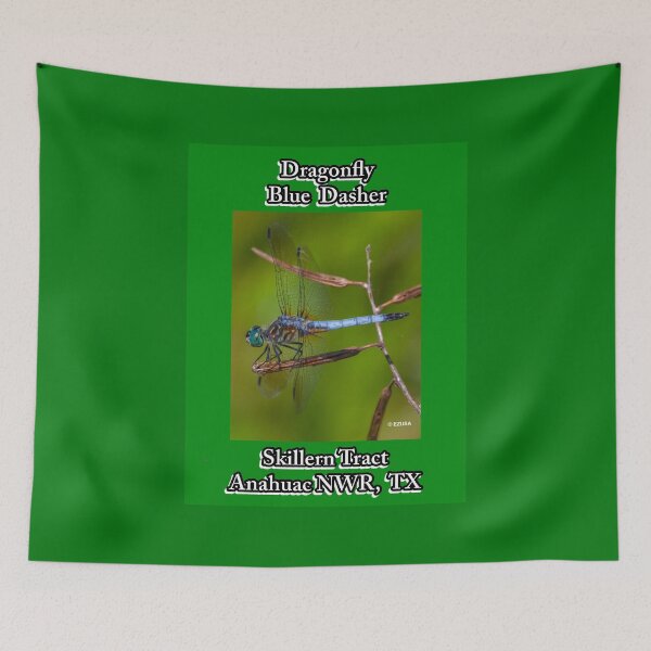 Item preview, For The Dragonfly Lover In You ~ Dragonfly: Blue Dasher, Anahuac NWR, Chambers County, Texas designed and sold by MoreEZUSA-Here.