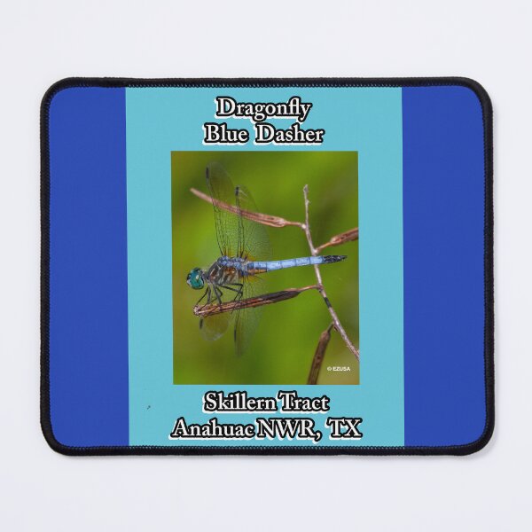 Item preview, Give A Dragonfly Kiss To Your Lover  ~ Dragonfly: Blue Dasher, Anahuac NWR, Chambers County, Texas designed and sold by MoreEZUSA-Here.