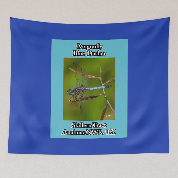 Item preview, Give A Dragonfly Kiss To Your Lover  ~ Dragonfly: Blue Dasher, Anahuac NWR, Chambers County, Texas designed and sold by MoreEZUSA-Here.