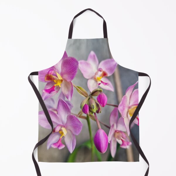 Item preview, Pink Orchids (Spathoglottis x parsonsii) designed and sold by Ross.A.Campbell.