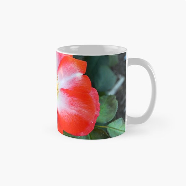 Aperçu de l'œuvre Rose rouge et blanche pleine floraison avec abeille créée et vendue par Fenderbender00.