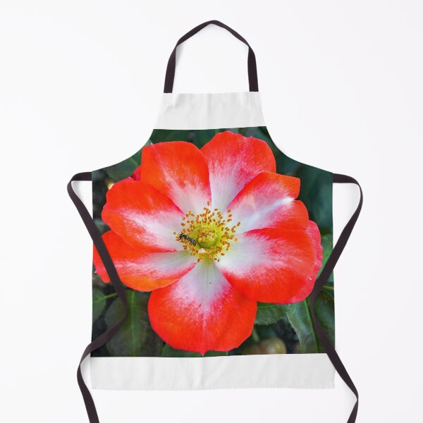 Item preview, Full Bloom Red and White Rose with Bee designed and sold by Fenderbender00.