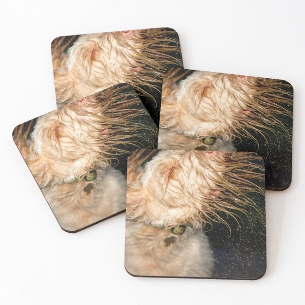 Item preview, Muddy Head Shake Spinone designed and sold by FOLK ART FUSION by heidiannemorris.