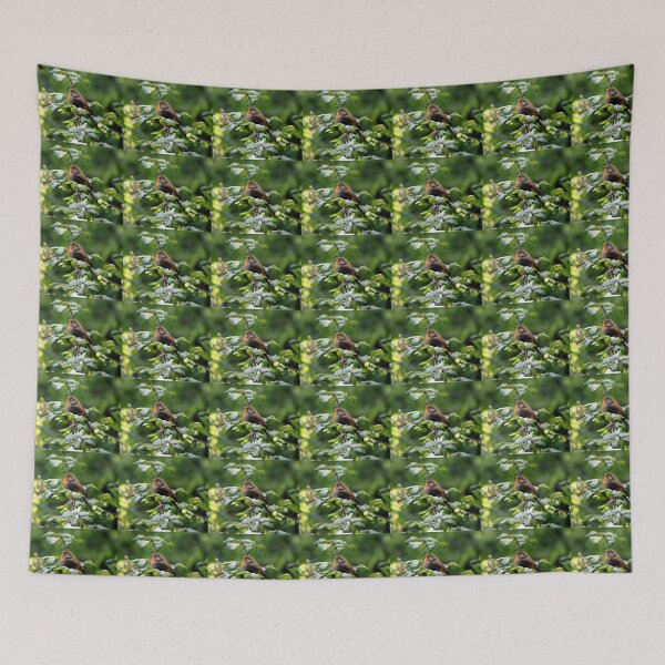 Item preview, robin designed and sold by KathleenDawson.