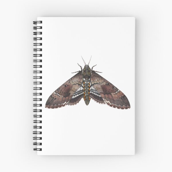 Item preview, Carolina Sphinx (Manduca sexta) designed and sold by JadaFitch.