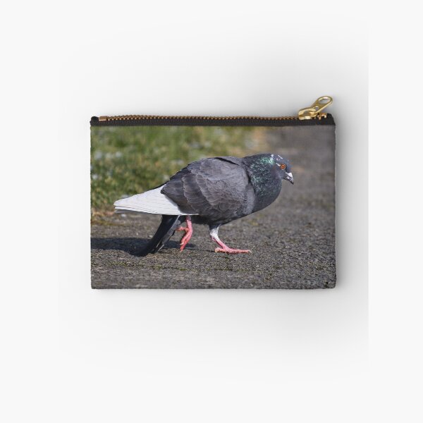 Item preview, Pigeon courtship dance designed and sold by GreyFeatherPhot.