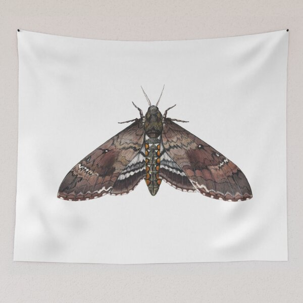 Item preview, Carolina Sphinx (Manduca sexta) designed and sold by JadaFitch.