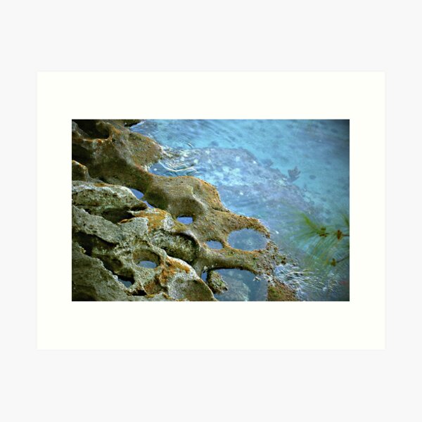 Item preview, Tidal pool designed and sold by triciamary.