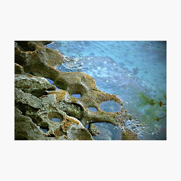 Item preview, Tidal pool designed and sold by triciamary.