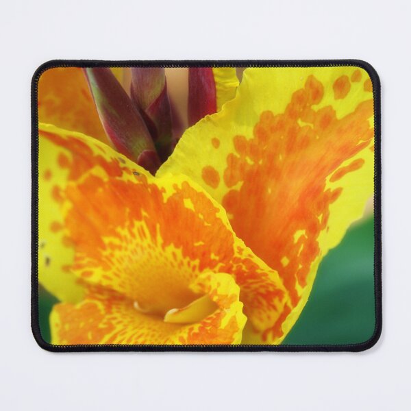 Item preview, Orange and yellow flower designed and sold by Lee's Place.