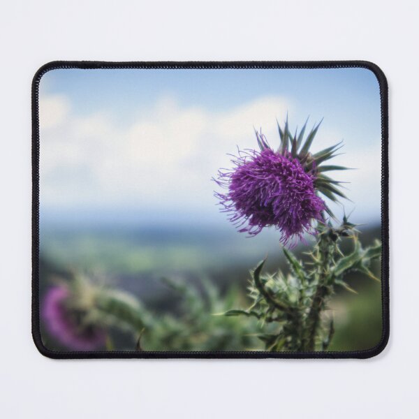 Item preview, Thistles on the cliff at Cheddar Gorge designed and sold by Ann Biddlecombe.